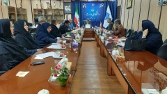 جلسه زیرشاخه های معاونت دانشجویی و فرهنگی دانشگاه ملی مهارت استان گلستان